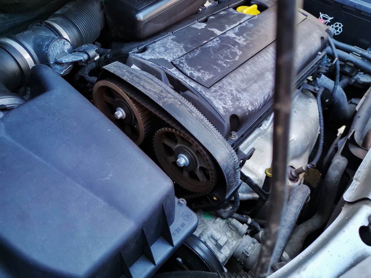 Courroie de distribution d’une Ford Fiesta